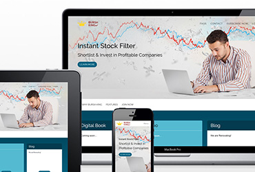Bursa King Stock Filter Portal